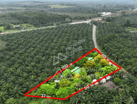 Land for sale with Baan Yuan Garden Resort, 17 rooms, 2.8 acres, Tak Daet Subdistrict, Mueang Phang Nga District, 65 meters wide, price 4.XX million THB