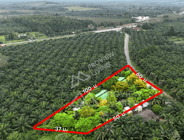 Land for sale with Baan Yuan Garden Resort, 17 rooms, 2.8 acres, Tak Daet Subdistrict, Mueang Phang Nga District, 65 meters wide, price 4.XX million THB