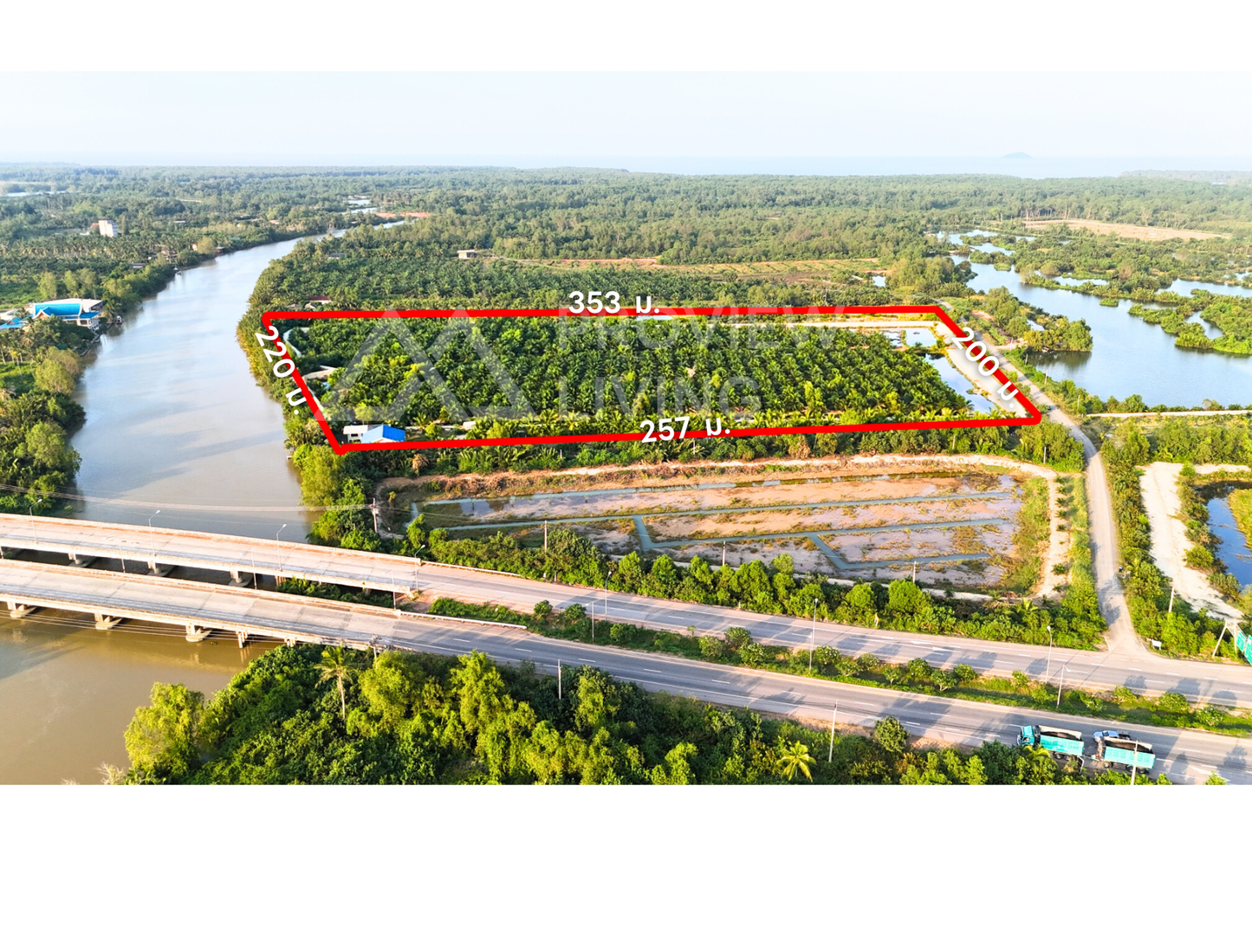 [ขายด่วน] ที่ดินสวนปาล์ม ปาล์มอายุ 8 ปี 700 ต้น ขนาด 35 ไร่ ใกล้สะพานศรีสุราษฏร์ แปลงสวย ติดคลองสะบ้าย้อย คลองฉนาก สุราษฎร์ธานี