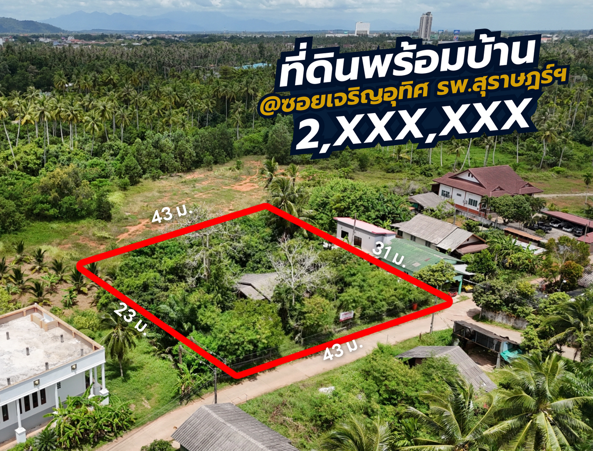 [ขาย] BS-02 ที่ดิน + บ้านเดี่ยว 1 ชั้น ขนาด 274.6 ไร่ ซ.เจริญอุทิศ (ใกล้สึบาเมะ) ใกล้ รพ.สุราษฎร์, เซ็นทรัล, แหล่งชุมชน