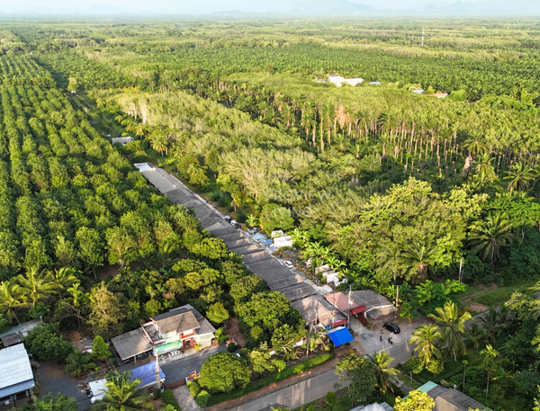 Urgent sale: House with 4 rai 2 ngan 73 sq. wa of land. Location: Khun Thale Soi 2, Surat Thani, near Wongbandit Factory.