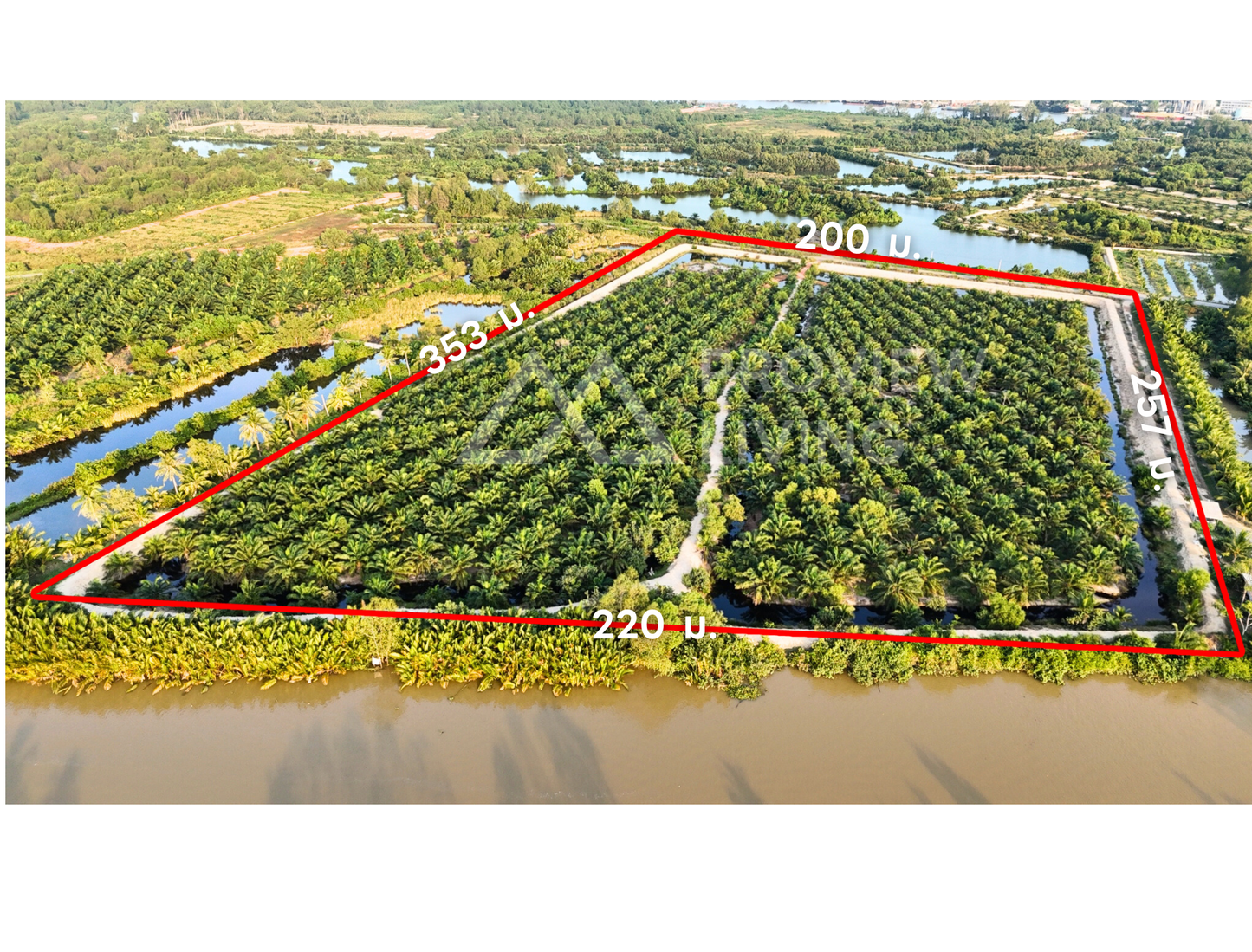 [ขายด่วน] ที่ดินสวนปาล์ม ปาล์มอายุ 8 ปี 700 ต้น ขนาด 35 ไร่ ใกล้สะพานศรีสุราษฏร์ แปลงสวย ติดคลองสะบ้าย้อย คลองฉนาก สุราษฎร์ธานี