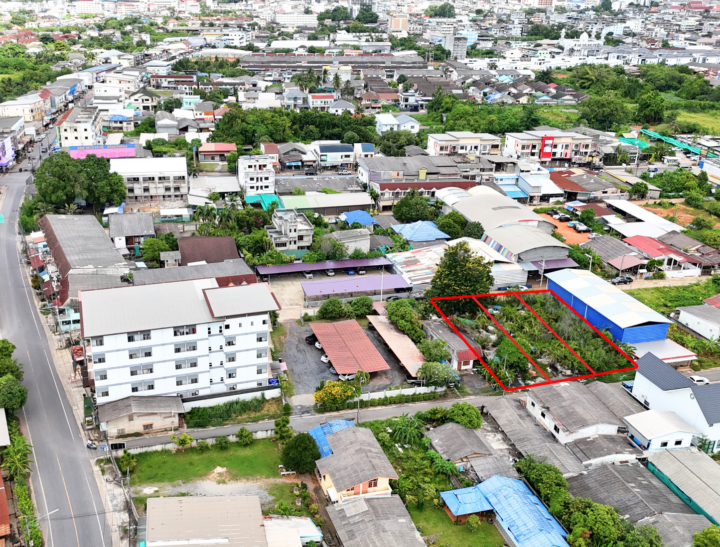 [ขายด่วน] ที่ดินเปล่า แบ่งล็อก แปลงสวย 3 แปลง เนื้อที่รวม 260 ตารางวา ซอยการุณราษฎร์ 32 ใกล้สหไทยการ์เด้น พลาซ่า สุราษฎร์ธานี