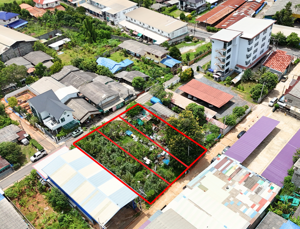Urgent Sale: Vacant land, divided into 3 beautiful plots, total area 260 square wah, Soi Karunrat 32, near Sahathai Garden Plaza, Surat Thani.