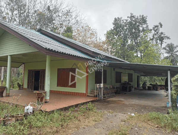 [SOLD] House with land 1 rai 2 ngan 47.5 sq. wa. near Wing 7, 2 bedrooms, 2 bathrooms, parking for 2 cars, with space for agriculture, Surat Thani