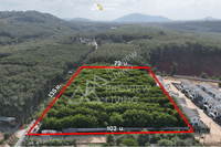 Urgent sale: Vacant land, 7 rai 98.1 sq. wa, in the Talad Kluay area with city views, near Surat Thani Bus Terminal, near Central Surat Thani, and near Lotus Surat Thani. / Rai