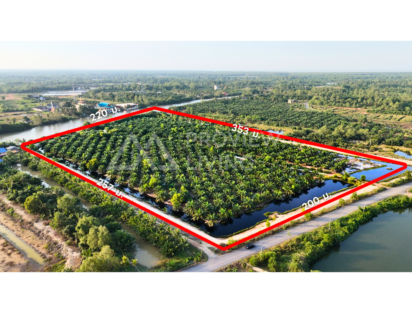 [ขายด่วน] ที่ดินสวนปาล์ม ปาล์มอายุ 8 ปี 700 ต้น ขนาด 35 ไร่ ใกล้สะพานศรีสุราษฏร์ แปลงสวย ติดคลองสะบ้าย้อย คลองฉนาก สุราษฎร์ธานี