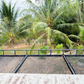 Urgent Sale! Ratthana Thachang Orchard, Surat Thani, 10 rai, 1 ngan, 76.0 sq. wa., per rai