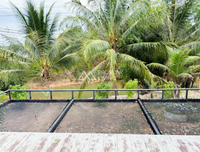 Urgent Sale! Ratthana Thachang Orchard, Surat Thani, 10 rai, 1 ngan, 76.0 sq. wa., per rai