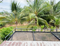 Urgent Sale! Ratthana Thachang Orchard, Surat Thani, 10 rai, 1 ngan, 76.0 sq. wa., per rai