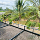 Urgent Sale! Ratthana Thachang Orchard, Surat Thani, 10 rai, 1 ngan, 76.0 sq. wa., per rai