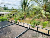 Urgent Sale! Ratthana Thachang Orchard, Surat Thani, 10 rai, 1 ngan, 76.0 sq. wa., per rai
