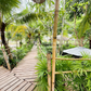 Urgent Sale! Ratthana Thachang Orchard, Surat Thani, 10 rai, 1 ngan, 76.0 sq. wa., per rai