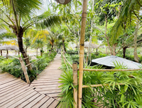 Urgent Sale! Ratthana Thachang Orchard, Surat Thani, 10 rai, 1 ngan, 76.0 sq. wa., per rai
