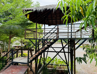 Urgent Sale! Ratthana Thachang Orchard, Surat Thani, 10 rai, 1 ngan, 76.0 sq. wa., per rai