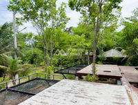 Urgent Sale! Ratthana Thachang Orchard, Surat Thani, 10 rai, 1 ngan, 76.0 sq. wa., per rai