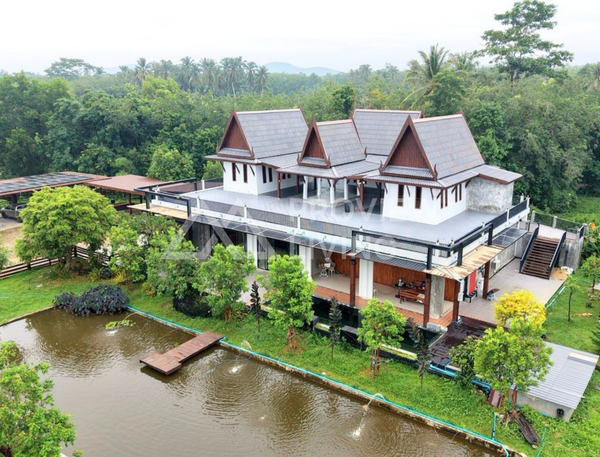 Oil palm plantation for sale, 6 rai @ Bang Baimai Intersection, price 2.XX MB / rai