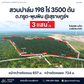 ขายสวนปาล์ม ตำบลกรุด พุนพิน สุราษฎร์ธานี 198 ไร่ จำนวน 3,500 ต้น รายได้ 4 ล้านต่อปี