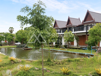 Oil palm plantation for sale, 6 rai @ Bang Baimai Intersection, price 2.XX MB / rai