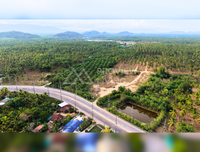 Vacant land for sale, near Lotus Regional Distribution Center, Surat Thani. 18 rai, 83.6 square wah.