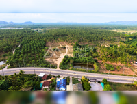 Vacant land for sale, near Lotus Regional Distribution Center, Surat Thani. 18 rai, 83.6 square wah.