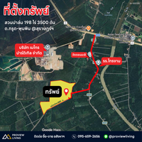 ขายสวนปาล์ม ตำบลกรุด พุนพิน สุราษฎร์ธานี 198 ไร่ จำนวน 3,500 ต้น รายได้ 4 ล้านต่อปี
