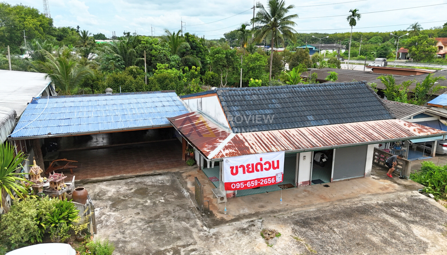 [ขายด่วน] บ้านพร้อมที่ดินใกล้สถานีภูธรตำรวจเขานิพนธ์ อำเภอเวียงสระ จ.สุราษฎร์ธานี พื้นที่รวม 162.4 ตร.วา 2 ห้องนอน 1 ห้องน้ำ 1 ห้องครัว 1 ห้องนั่งเล่น และพื้นที่สวนหลังบ้านพร้อมปรับเป็นสวนครัวหรือสิ่งปลูกสร้างอื่นๆ