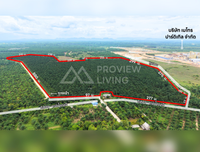 ขายสวนปาล์ม ตำบลกรุด พุนพิน สุราษฎร์ธานี 198 ไร่ จำนวน 3,500 ต้น รายได้ 4 ล้านต่อปี