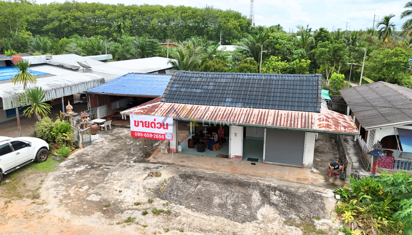 [ขายด่วน] บ้านพร้อมที่ดินใกล้สถานีภูธรตำรวจเขานิพนธ์ อำเภอเวียงสระ จ.สุราษฎร์ธานี พื้นที่รวม 162.4 ตร.วา 2 ห้องนอน 1 ห้องน้ำ 1 ห้องครัว 1 ห้องนั่งเล่น และพื้นที่สวนหลังบ้านพร้อมปรับเป็นสวนครัวหรือสิ่งปลูกสร้างอื่นๆ