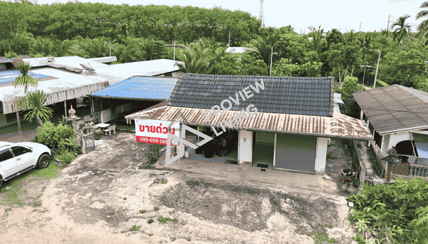 Urgent Sale: House with land near Khao Nipon Police Station, Wiang Sa District, Surat Thani Province. Total area 162.4 sq. wah. 2 bedrooms, 1 bathroom, 1 kitchen, 1 living room, and a backyard area suitable for a vegetable garden or other construction.