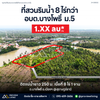 ที่ดินริมแม่น้ำ + สวนมะพร้าว เนื้อที่ 8-1-24 ไร่ @บางโพธิ์ สุราษฎร์ธานี