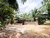 [SOLD] Land with building near Surat Thani Airport, Maluan, Phunphin, 3 beds, 2 baths