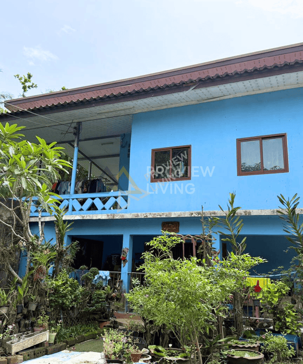For quick sale: Garden house in Surat Thani, fully furnished, with various trees. 5 bedrooms, 2 bathrooms, with a waterfront pavilion. Large plot of land 381 sq. wah, 25 m wide, 61 m deep.