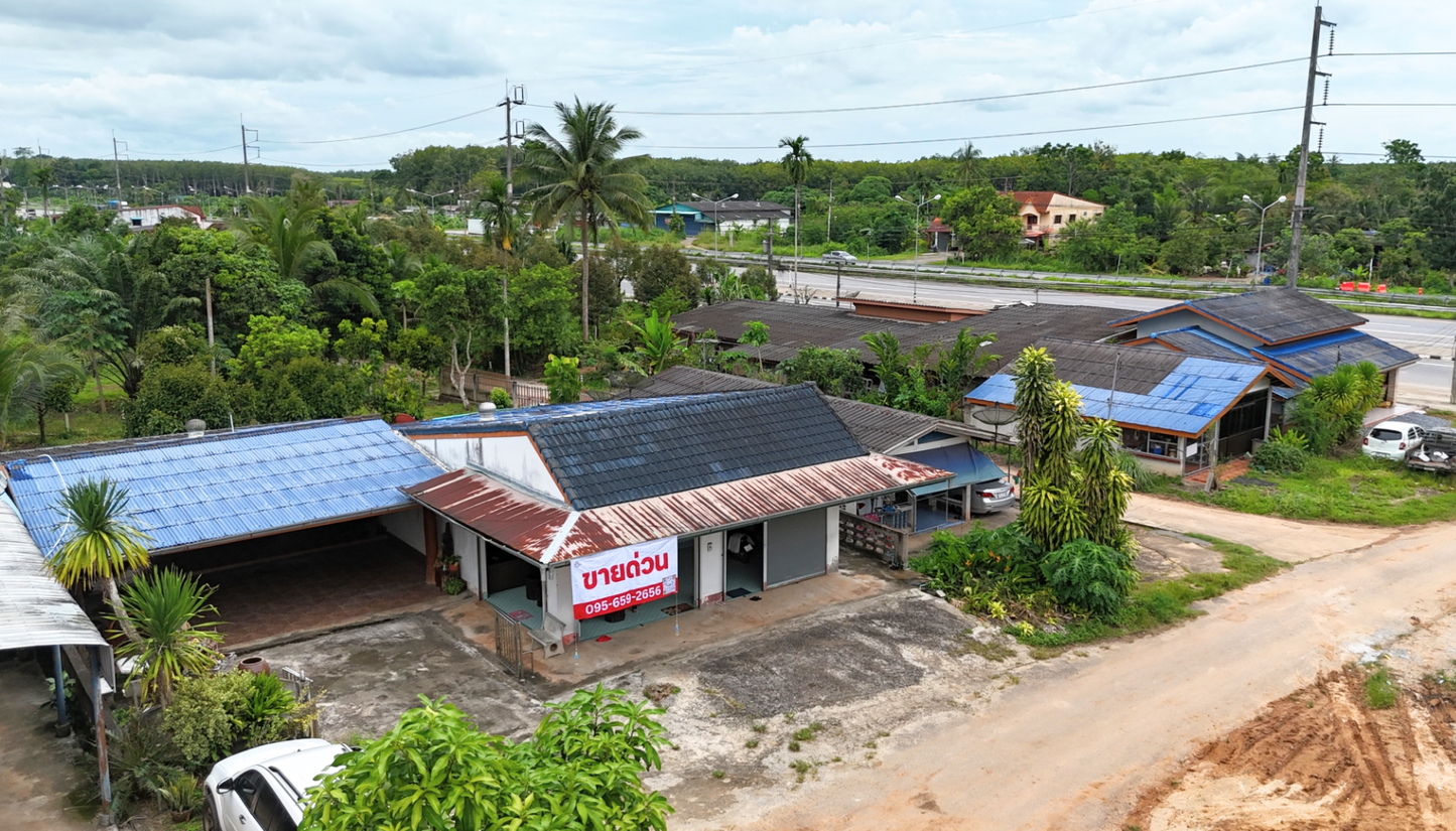 [ขายด่วน] บ้านพร้อมที่ดินใกล้สถานีภูธรตำรวจเขานิพนธ์ อำเภอเวียงสระ จ.สุราษฎร์ธานี พื้นที่รวม 162.4 ตร.วา 2 ห้องนอน 1 ห้องน้ำ 1 ห้องครัว 1 ห้องนั่งเล่น และพื้นที่สวนหลังบ้านพร้อมปรับเป็นสวนครัวหรือสิ่งปลูกสร้างอื่นๆ