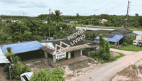 Urgent Sale: House with land near Khao Nipon Police Station, Wiang Sa District, Surat Thani Province. Total area 162.4 sq. wah. 2 bedrooms, 1 bathroom, 1 kitchen, 1 living room, and a backyard area suitable for a vegetable garden or other construction.