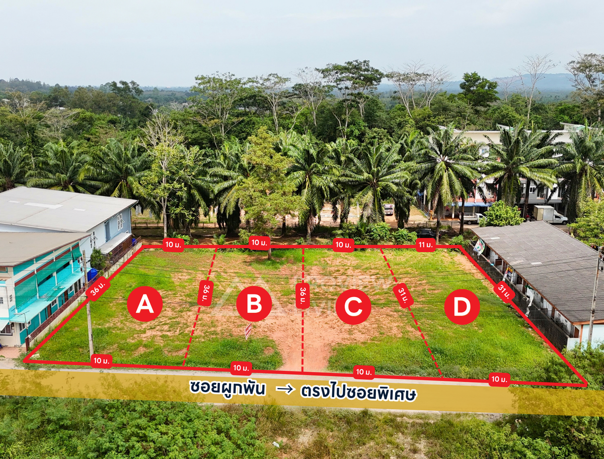 ขายที่ดินแบ่งล็อค 100 ตร.วา 4 แปลง @ซอยผูกพัน ม.อ.สุราษฎร์ธานี แปลงละ 1.5 X ล้านบาท ตารางวาละ 15,000 บาท