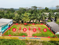 ขายที่ดินแบ่งล็อค 100 ตร.วา 4 แปลง @ซอยผูกพัน ม.อ.สุราษฎร์ธานี แปลงละ 1.5 X ล้านบาท ตารางวาละ 15,000 บาท