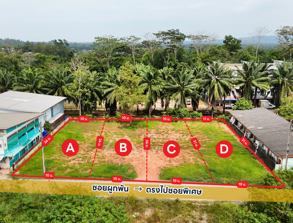 ขายที่ดินแบ่งล็อค 100 ตร.วา 4 แปลง @ซอยผูกพัน ม.อ.สุราษฎร์ธานี แปลงละ 1.5 X ล้านบาท ตารางวาละ 15,000 บาท