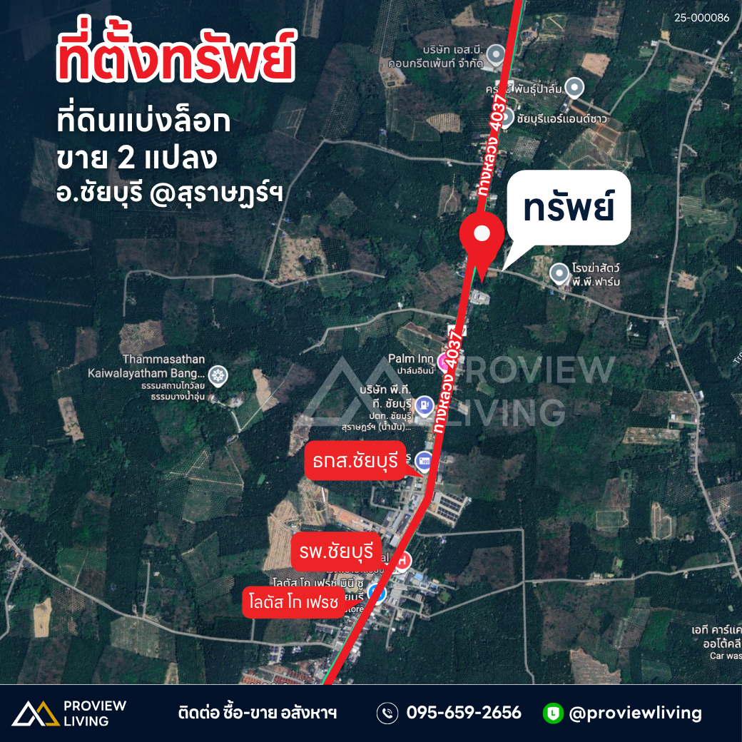 ขายด่วน ที่ดินเปล่า สุราษฎร์ธานี ใกล้รพ.ชัยบุรี ติดถนนใหญ่ เริ่มมีการก่อสร้างเป็นถนน 4 เลน แบ่งล็อกขาย/ล็อก