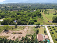 ขายด่วน ที่ดินเปล่า อ.ขนอม จ.นครศรีธรรมราช  เนื้อที่ 200 ตร.วา ใกล้หาดขนอม ซ.อ่าวขนอม 6  500 ม.