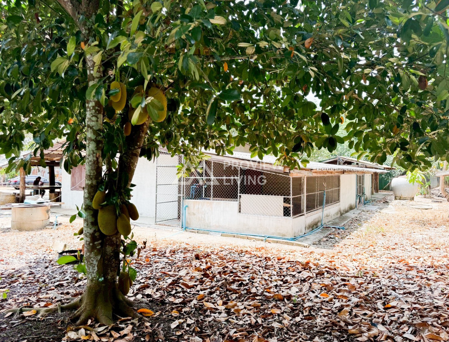 ขายที่ดินพร้อมสิ่งปลูกสร้าง ใกล้สนามบินสุราษฎร์ธานี @มะลวน ใกล้ราคา 2.XX ลบ