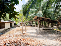 [SOLD] Land with building near Surat Thani Airport, Maluan, Phunphin, 3 beds, 2 baths
