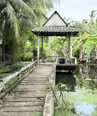 For quick sale: Garden house in Surat Thani, fully furnished, with various trees. 5 bedrooms, 2 bathrooms, with a waterfront pavilion. Large plot of land 381 sq. wah, 25 m wide, 61 m deep.