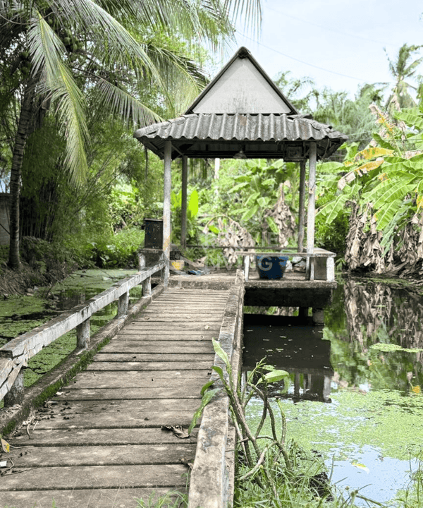 For quick sale: Garden house in Surat Thani, fully furnished, with various trees. 5 bedrooms, 2 bathrooms, with a waterfront pavilion. Large plot of land 381 sq. wah, 25 m wide, 61 m deep.