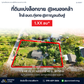 Urgent sale, corner vacant land, total area 1 rai 44 square wah, located in Thung Kong, Kanchanadit, Surat Thani.