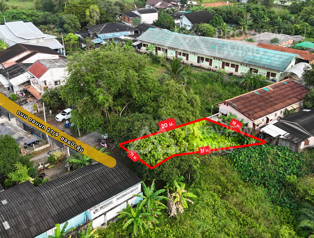 ขายด่วน ที่ดินเปล่า สุราษฎร์ธานี 62.2 ตร.วา พิกัด ดอนนก 21 ซอย 9 หลังโรงเรียนมานิตานุเคราะห์ ราคาเพียง 7.5 แสนบาท