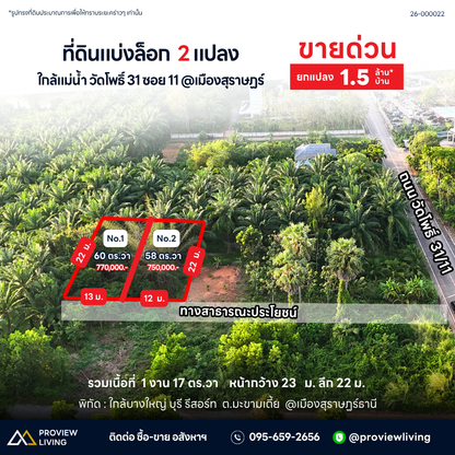 ขายด่วน ที่ดินแบ่งล็อก สุราษฎร์ธานี ขนาดเริ่มต้น 57.7 ตร.วา พิกัด วัดโพธิ์ 31 ซอย 11 ราคาเพียง 7.X แสนบาทต่อแปลง
