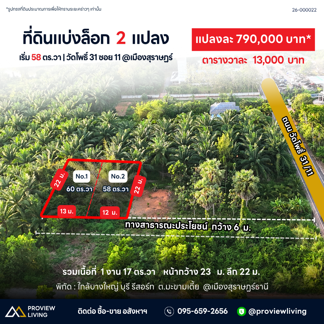 ขายด่วน ที่ดินแบ่งล็อก สุราษฎร์ธานี ขนาดเริ่มต้น 57.7 ตร.วา พิกัด วัดโพธิ์ 31 ซอย 11 ราคาเพียง 7.X แสนบาทต่อแปลง