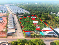ขายด่วน ที่ดินเปล่า สุราษฎร์ธานี ใกล้เกาะลำพู ขนาด 3 ไร่ 0 งาน 4.0 ตารางวา