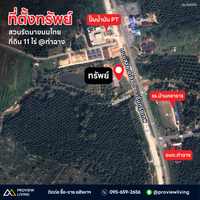 ขายด่วน สวนรัตนาท่าฉาง สุราษฎร์ธานี 10 ไร่ 1 งาน 76.0 ตารางวา ไร่ละ